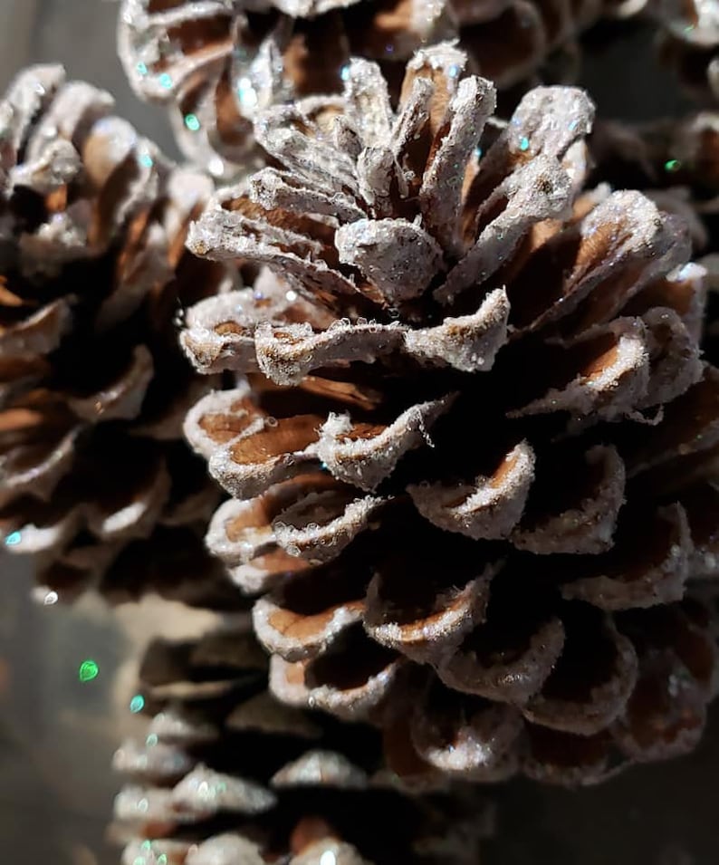 Frosted Pinecones Natural Fragrance